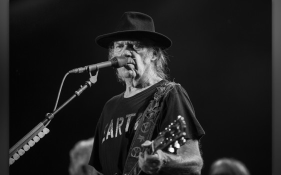 Neil Young, Foire Aux Vins d'Alsace 2014