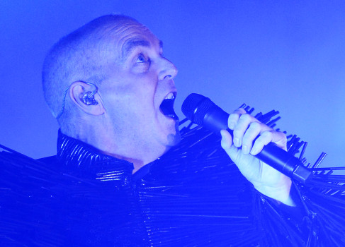 Neil Tennant