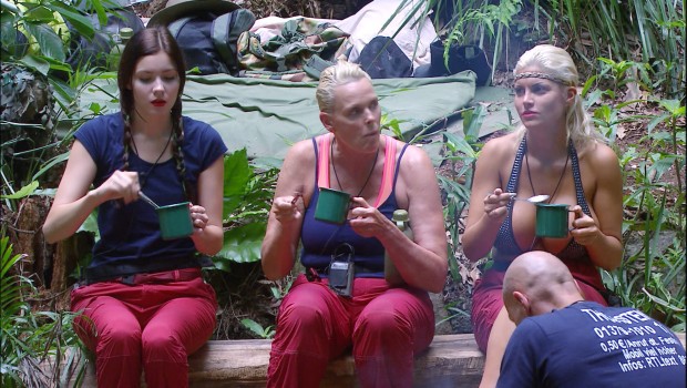 Ich bin ein Star _ Holt mich hier raus!