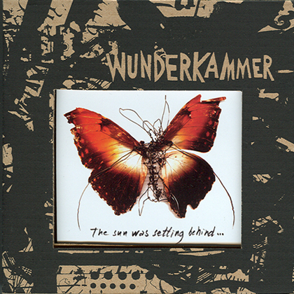 Wunderkammer - Today I Cannot Hear Music