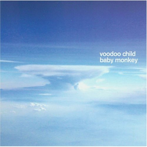 Voodoo Child Baby Monkey Cover