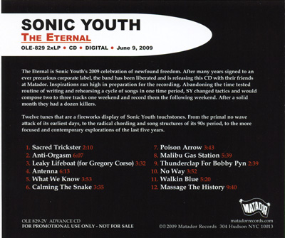 Sonic Youth - The Eternal