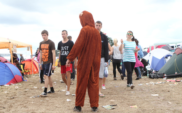 Bärchen, hast Du dich verlaufen?