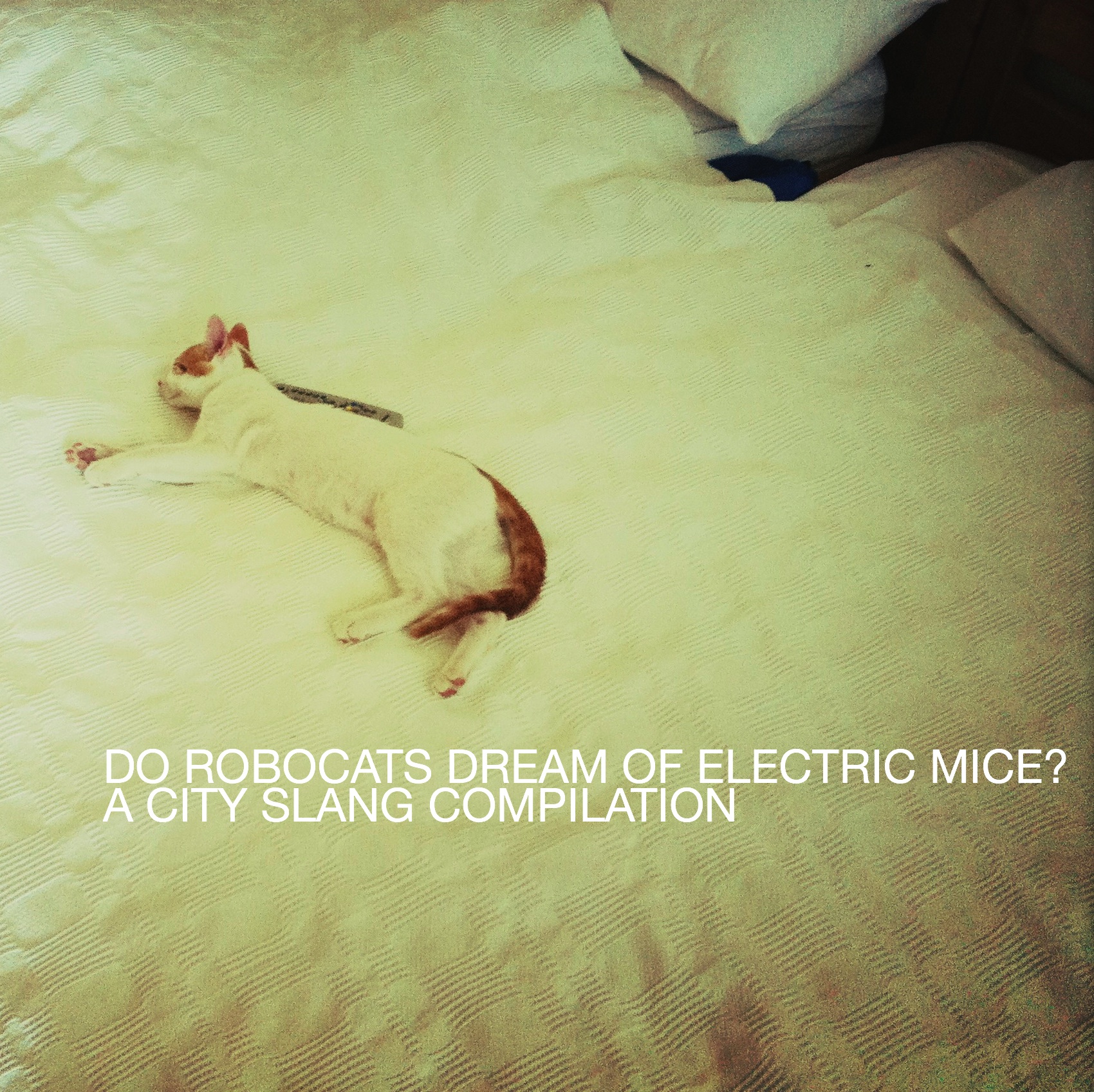 Do Robocats Dream Of Electric Mice? – A City Slang Compilation