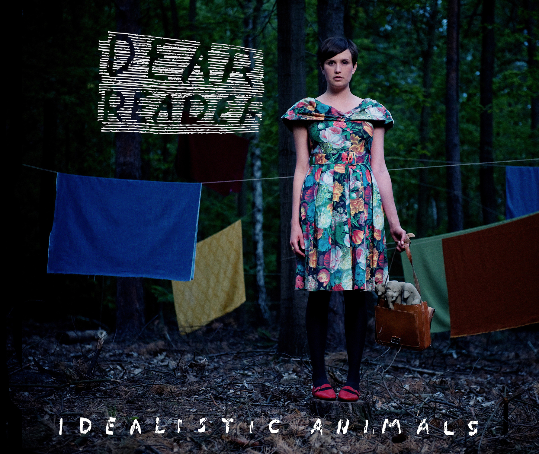 Dear Reader - Idealistic Animals