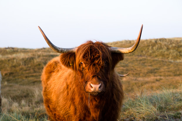 Rolling Stone Weekender