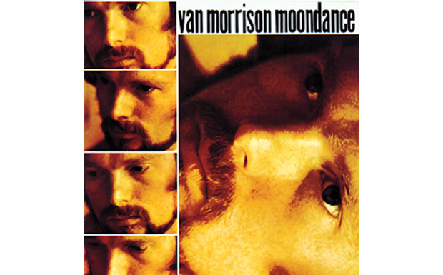 Platz 66: Van Morrison - "Moondance"
„Das war genau die Art von Band, die ich liebe“, sagte Van Morrison über die „...