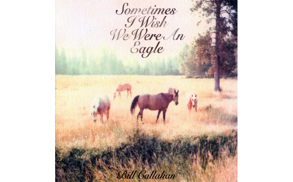 35. Sometimes I Wish We Were An Eagle - Bill Callahan (Drag City, 2009)
Nach einer kurzen Liaison mit eher herkömmlich ar...