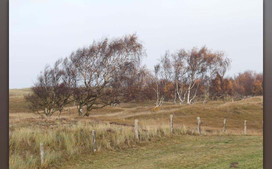 Gelegenheit, abgeschieden die Seele baumeln zu lassen, gab es am Weissenhäuser Strand zu Hauf.
