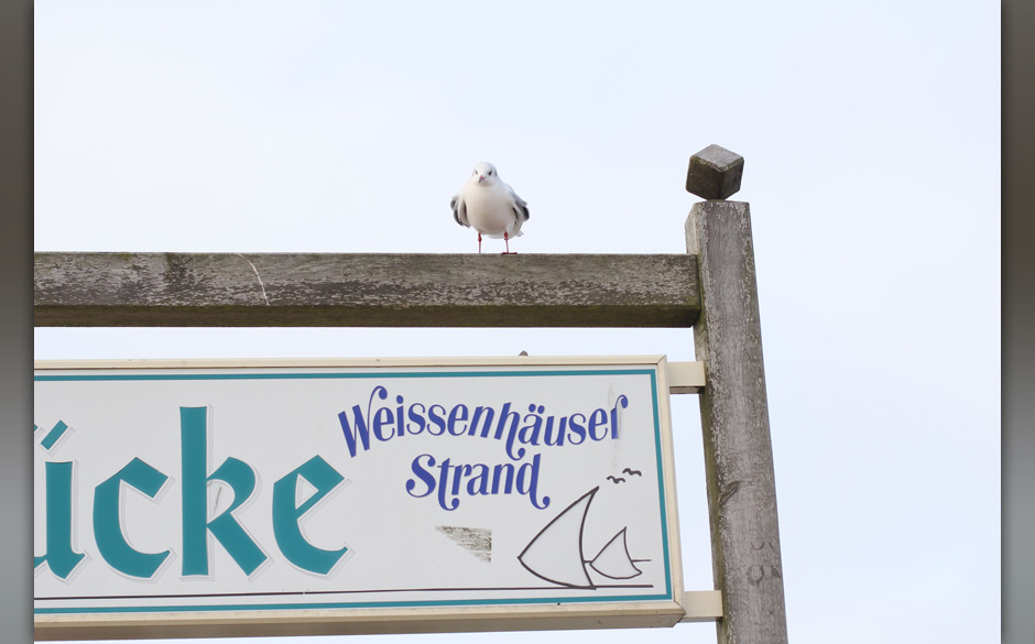 Willkommen am Weissenhäuser Strand!