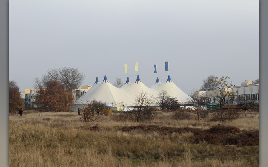 Genau hier spielen Animal Collective.