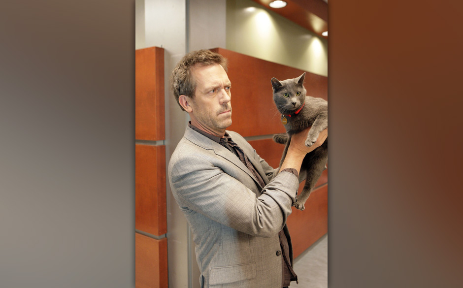 Staffel 5:
Kann eine Katze den Tod eines Menschen vorhersehen? Eine junge Frau behauptet dies und versetzt House (Hugh Lau...