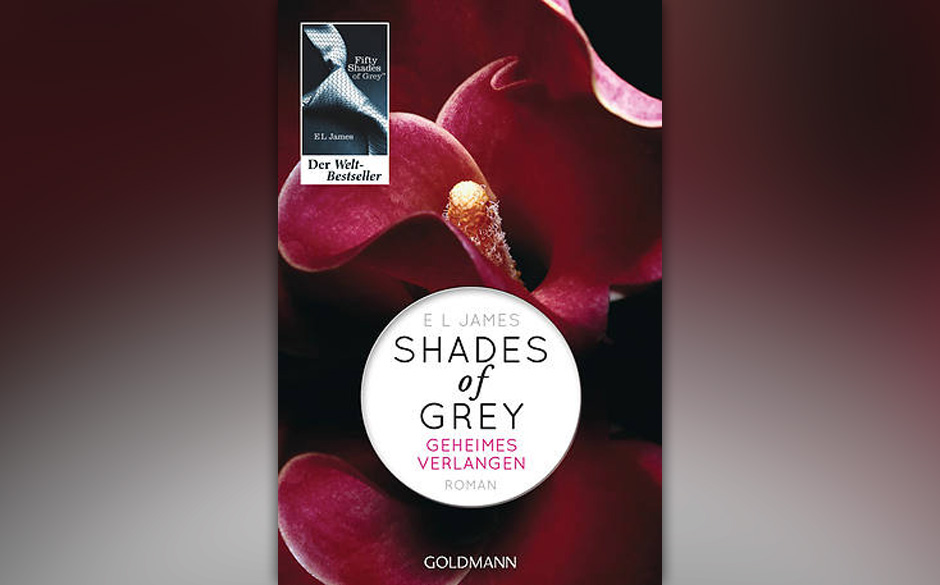 Platz  3: E.L. James - "Shades Of Grey"