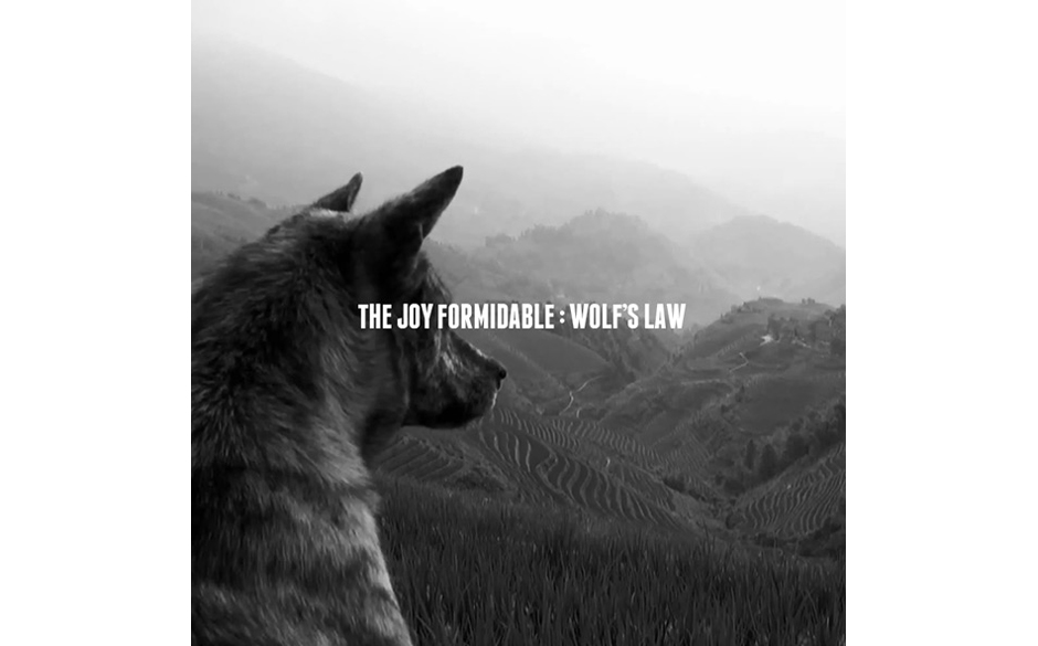 The Joy Formidable 	- Wolf's Law		(Atlantic/Warner)
Das Album läuft im rdio-Player.