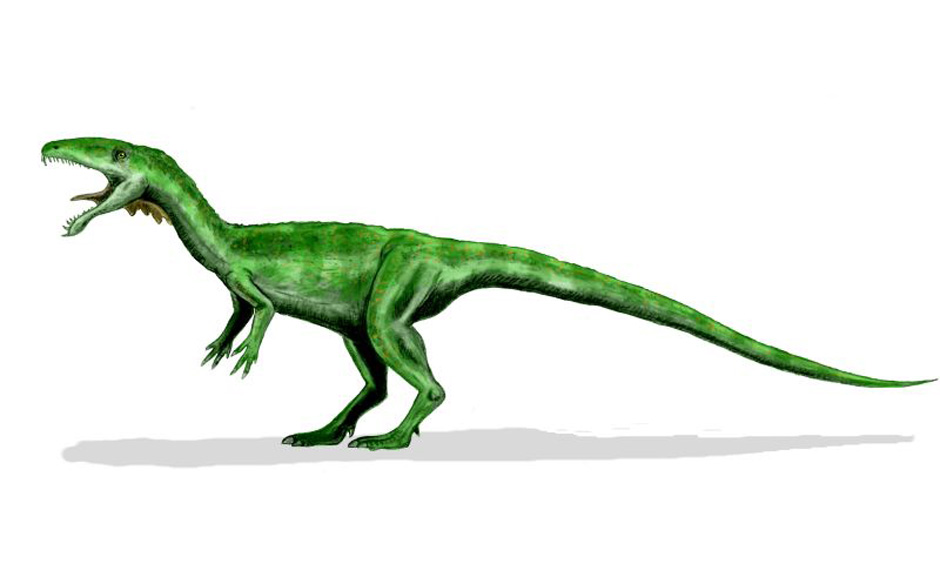 Rockdinosaurier: Masiakasaurus knopfleri (Mark Knopfler)