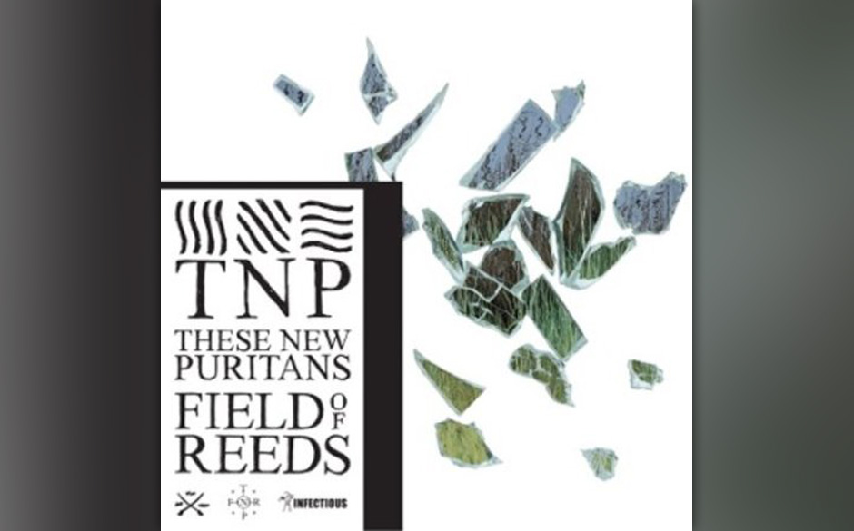 These New Puritans - "Field of Reeds"

Komplexer Post-Pop mit fein abgestimmter Orchesterbesetzung. Für Fans der späten ...