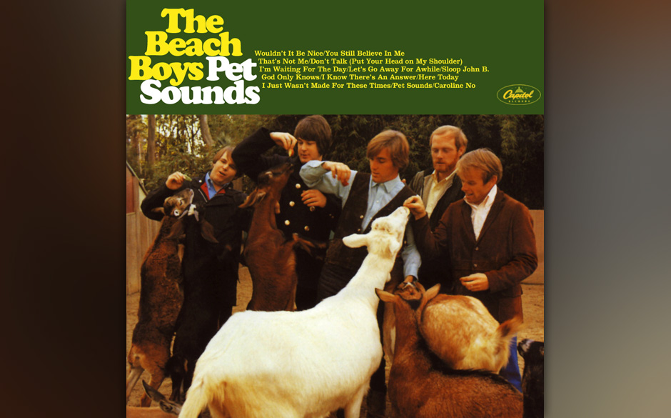 ecsImgpet_sounds-5032101381663135384.jpg