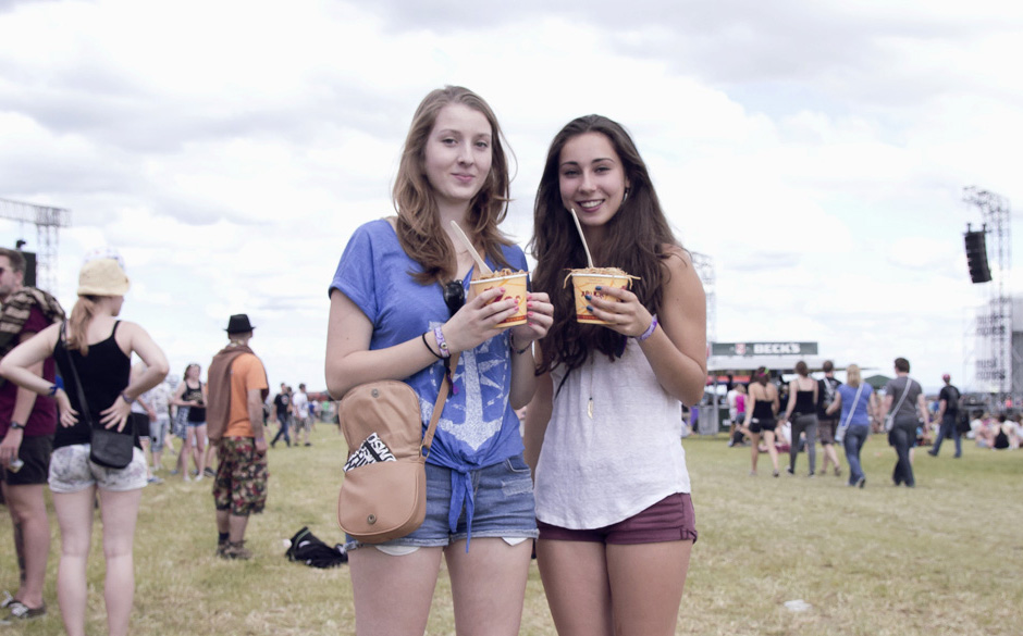 Die Fans vom Southside 2013