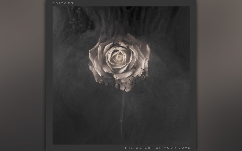 editors_the weight of your love.jpg