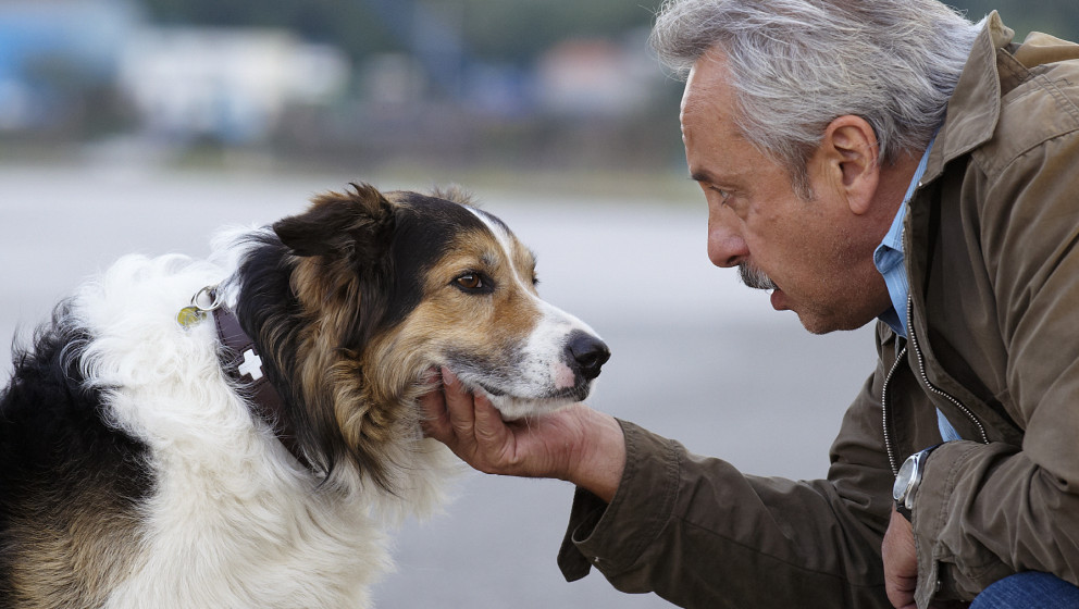 Stubbe (Wolfgang Stumph) und sein neuer Freund Desperado (Hund Joey), der Hund des Mordopfers und der einzige Zeuge. 
Honorar