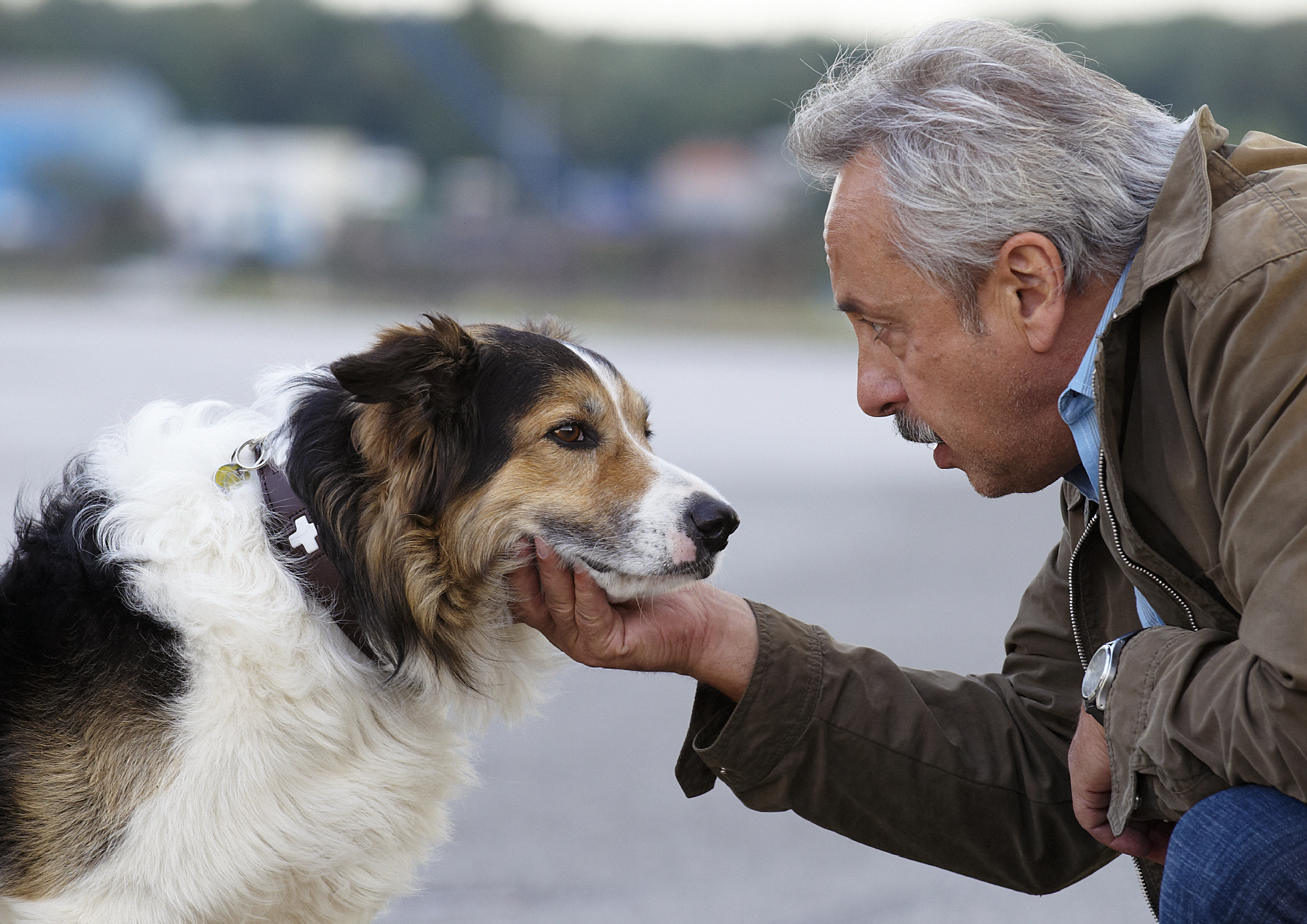 Stubbe (Wolfgang Stumph) und sein neuer Freund Desperado (Hund Joey), der Hund des Mordopfers und der einzige Zeuge. Honor...