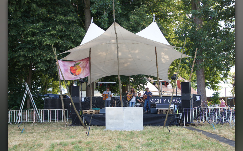 Publikum beim Appletree Garden Festival 2013