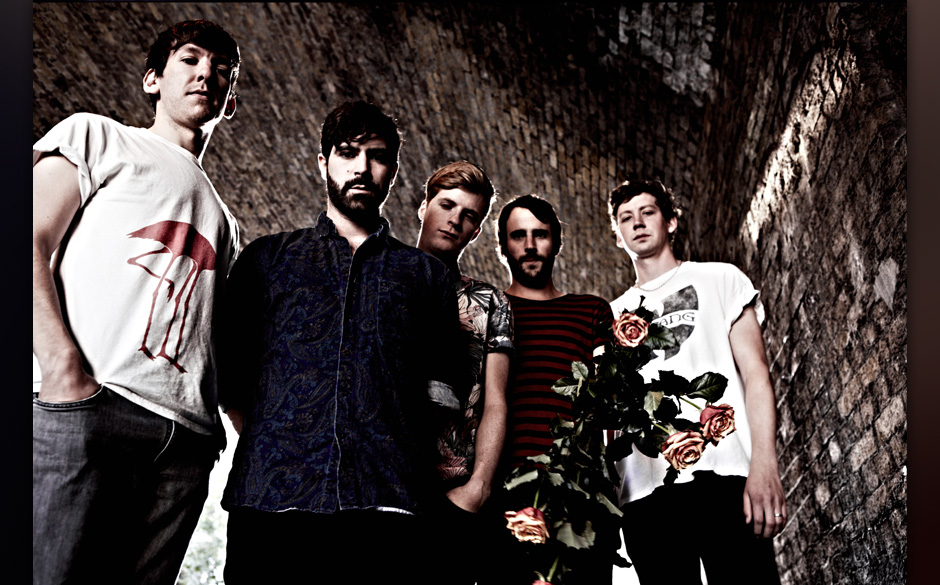Foals