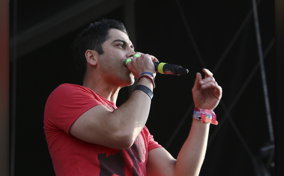 130817-1317-zebrahead.jpg