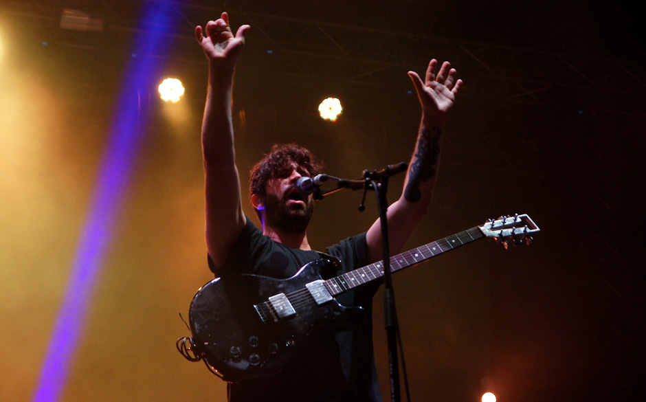 Foals