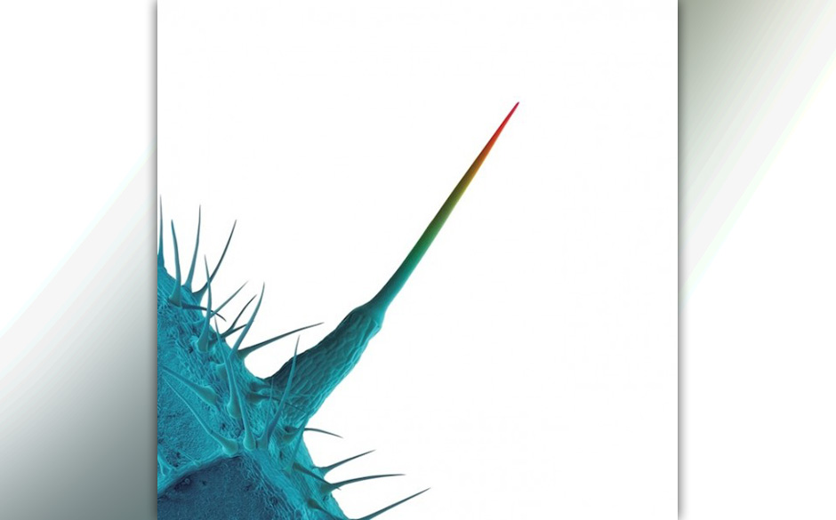 Peter Gabriel - "And I’ll Scratch Yours". Kollegen covern Gabriel-Klassiker – mit unterschiedlichen Ansätzen