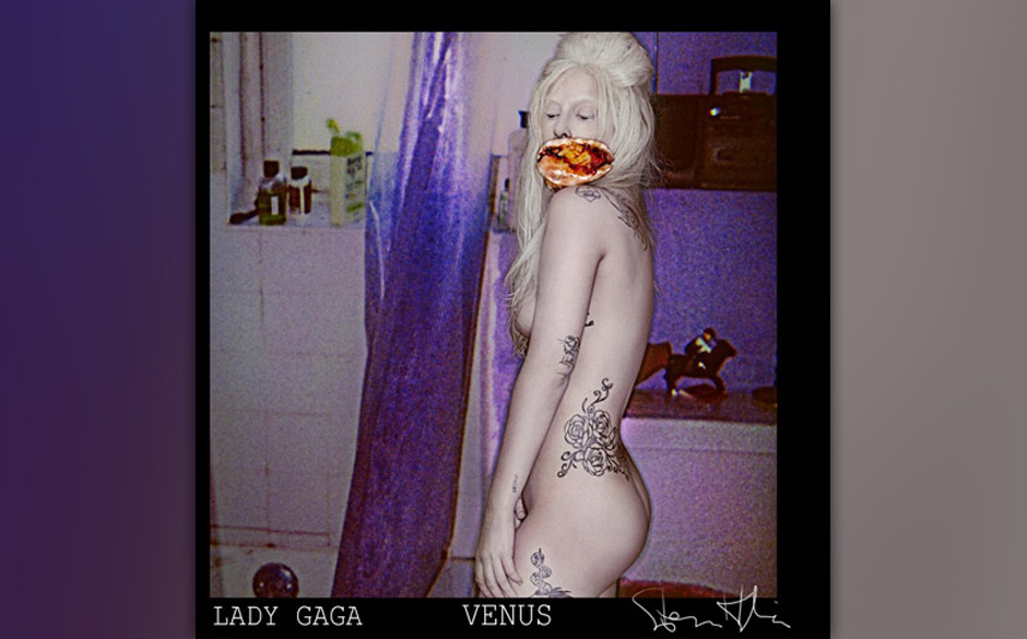 venus-cover-3.jpg