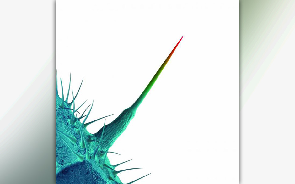 Peter Gabriel/ Diverse - AND I'LL SCRATCH YOURS