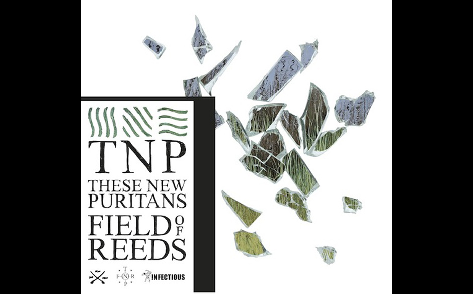 03. These New Puritans - „Fields Of Reeds“