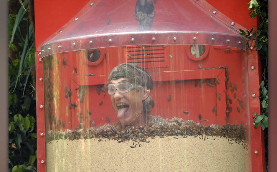 Tag 6 - Dschungelpr¸fung 6 "Schwere Zeiten"; F¸r Winfried Glatzeder ist es die erste Dschungelpr¸fung. Gemeinsam mit La...