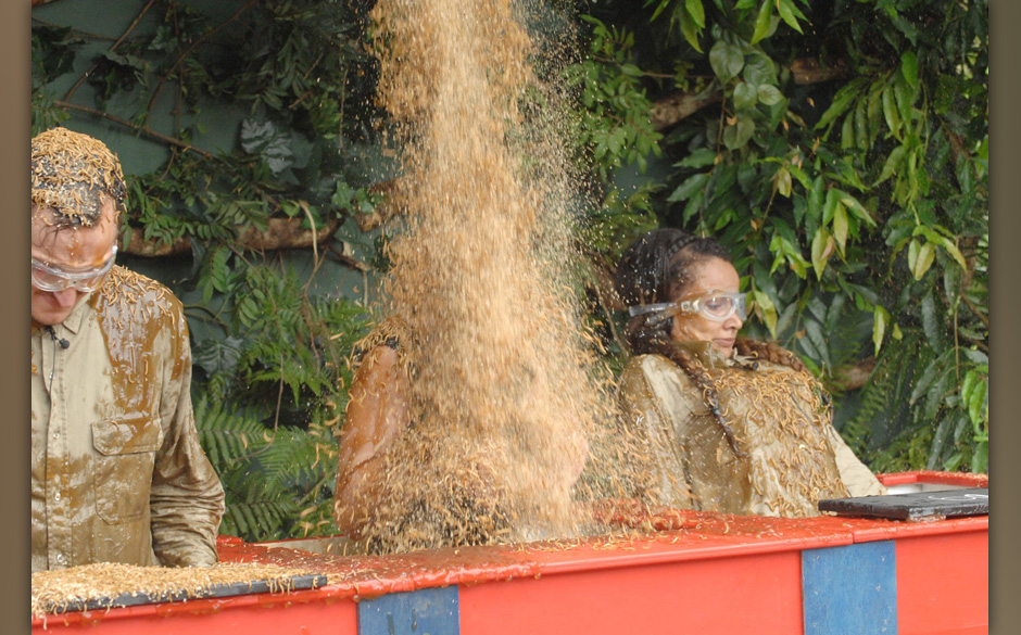 Tag 9 - Dschungelpr¸fung 9 "Der Preis ist Reis"; Zur heutigen Dschungelpr¸fung treten vier VIP-Camper an. Ihnen werden S...