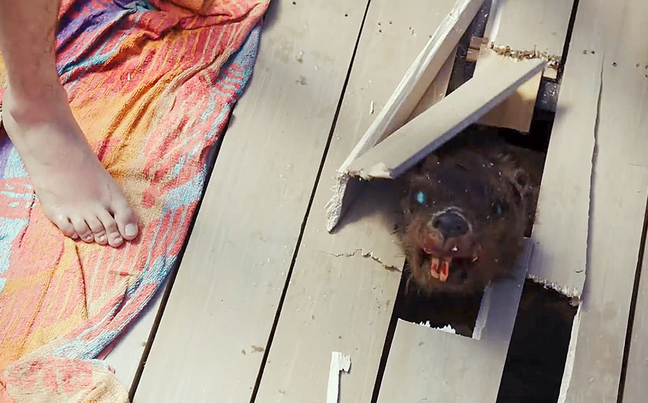 3026303-inline-i-2-zombeavers-next-sharknado.jpg