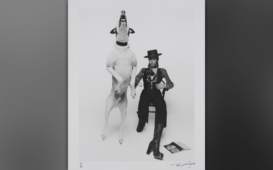 Publicityfoto von David Bowie für Diamond Dogs, 1974