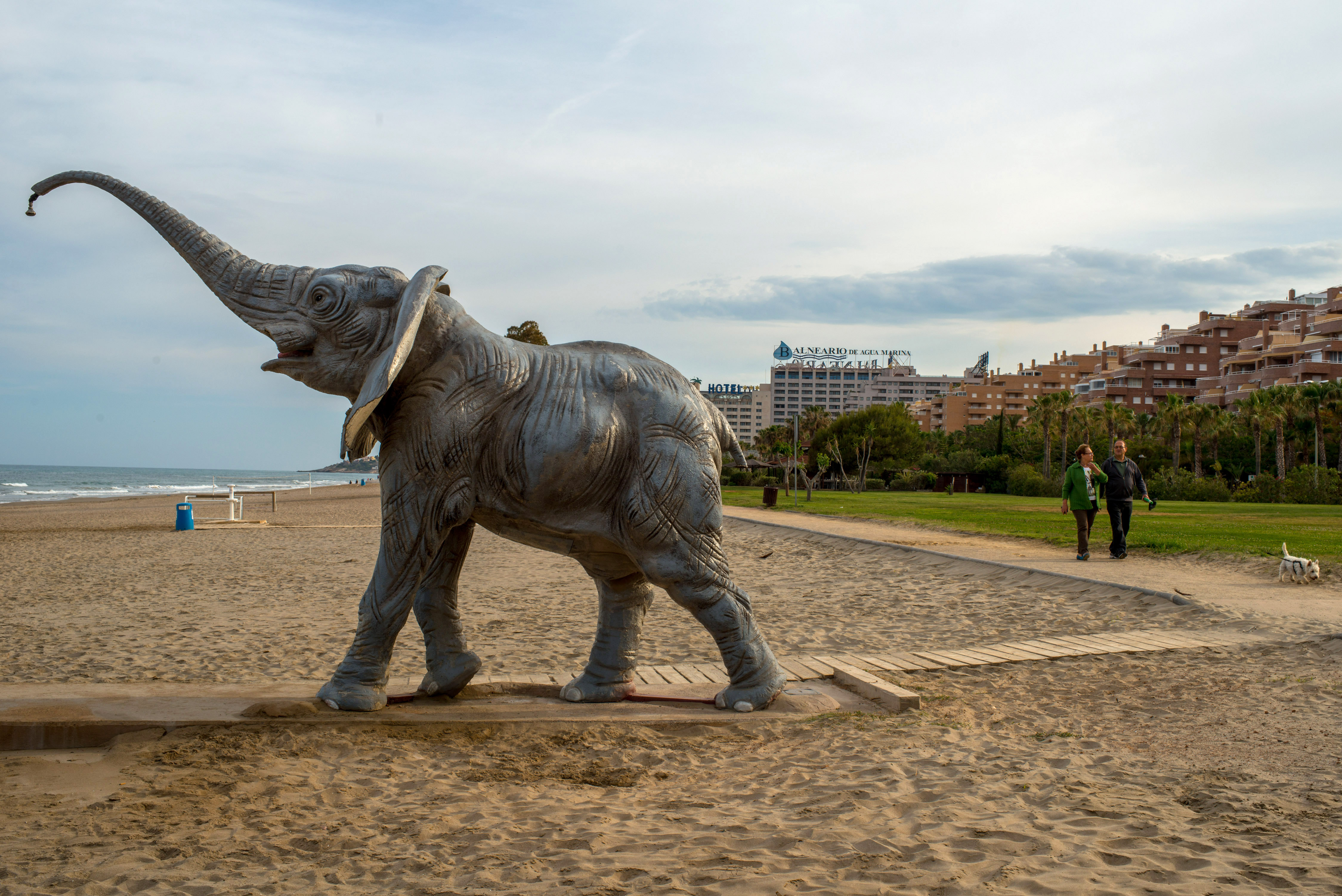 "Ein Bild, das von einem thailändischen Elefanten gemalt wurde"