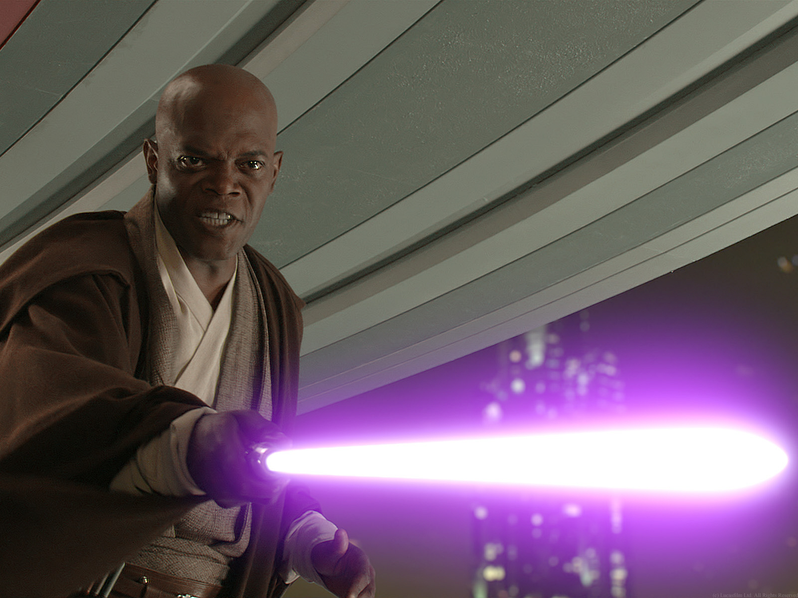 Mace_Windu_Samuel_L-Jackson.jpg