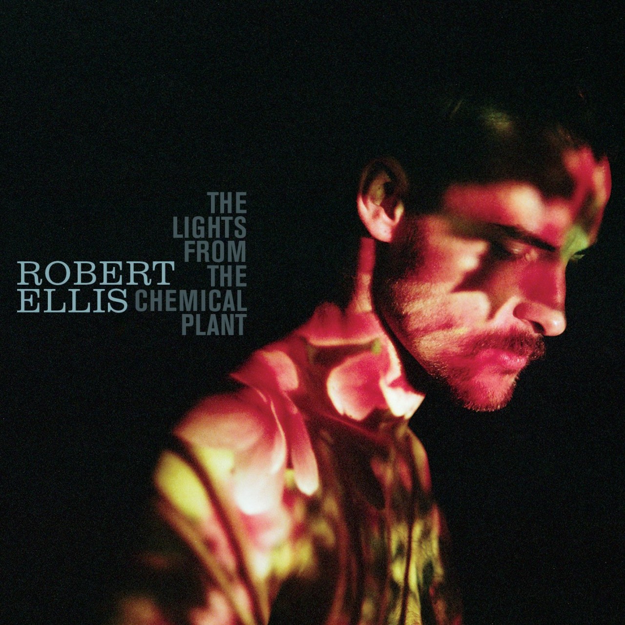 Robert Ellis: The Lights From The Chemical Plant (empfohlen von Birgit Fuß)