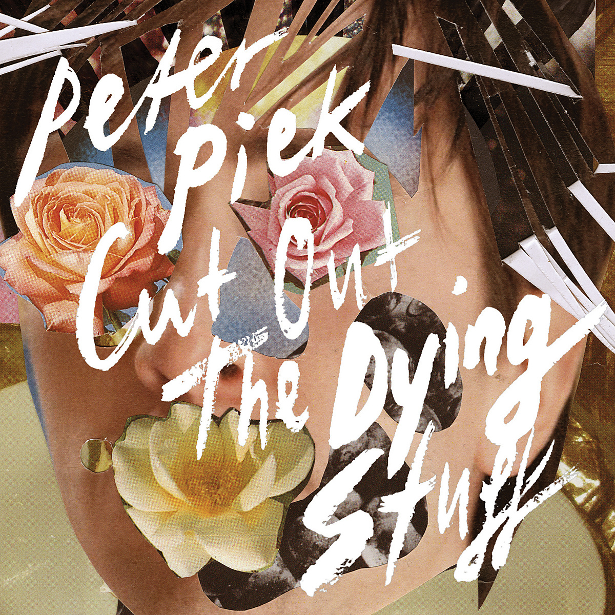 Peter Piek: Cut out the dying stuff (empfohlen von Fabian Peltsch)