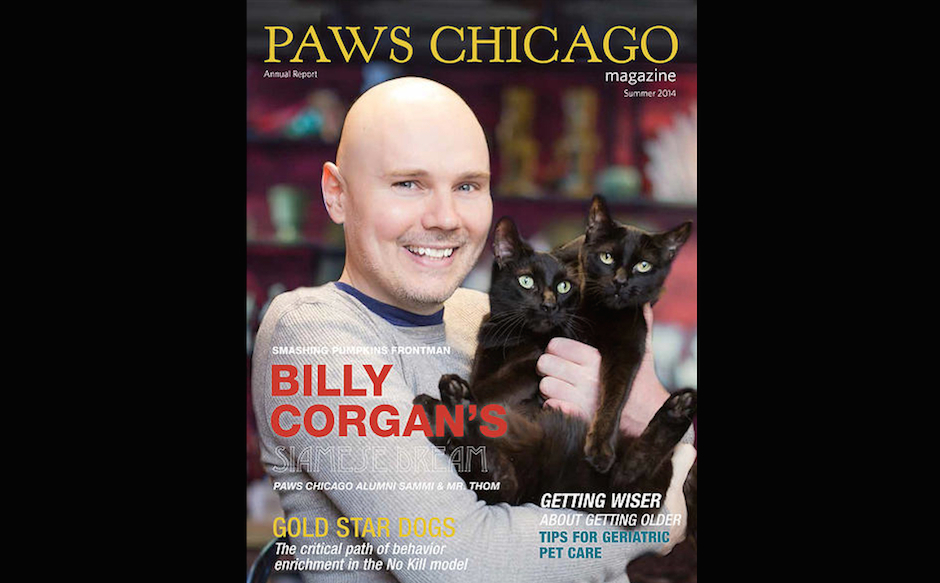 Billy Corgan Paws.jpg