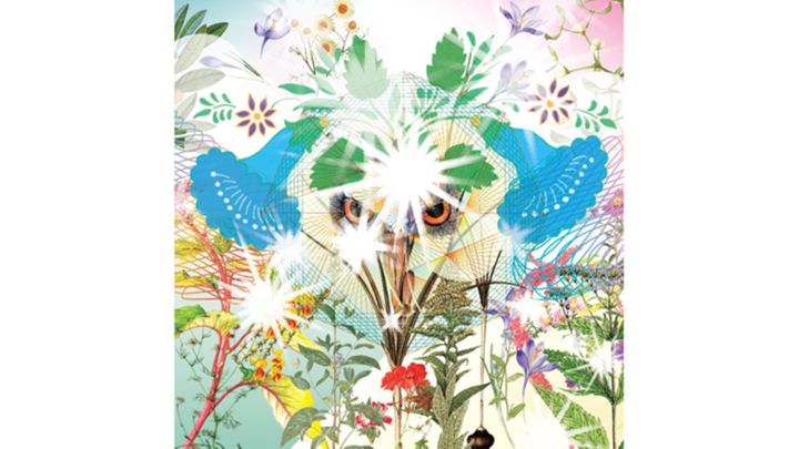 OOIOO - "Gamel"
Indonesischer Gamelan? Japanischer Noise-Pop? "Remain in Light" ist das psychedelische 21. Jahrhundert. In...