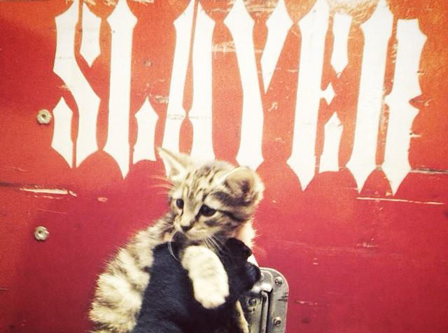 Slayer retten Kätzchen Gypsy