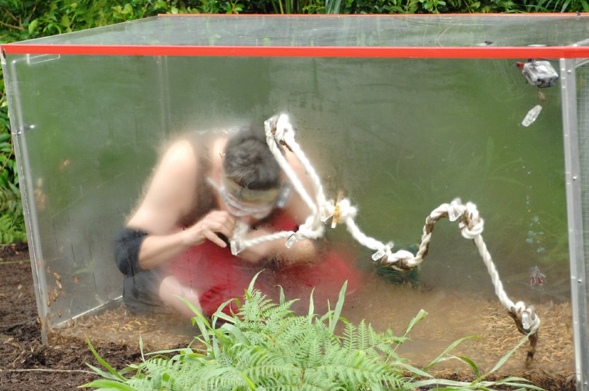 Dschungelcamp Tag 13 SPERRFRIST 28.01.2015, 23.59 Uhr!!!