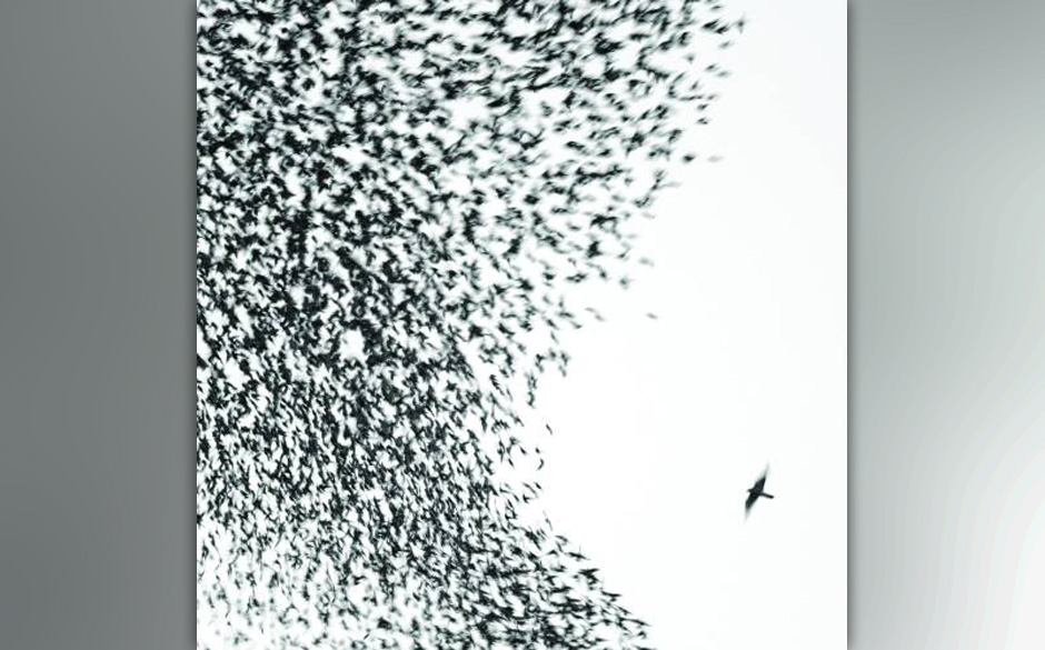 97. Wilco, 'Sky Blue Sky'.

Diese semi-akustische Angelegenheit entstand nach Jeff Tweedys Rehab. Allerdings brodelt es un...