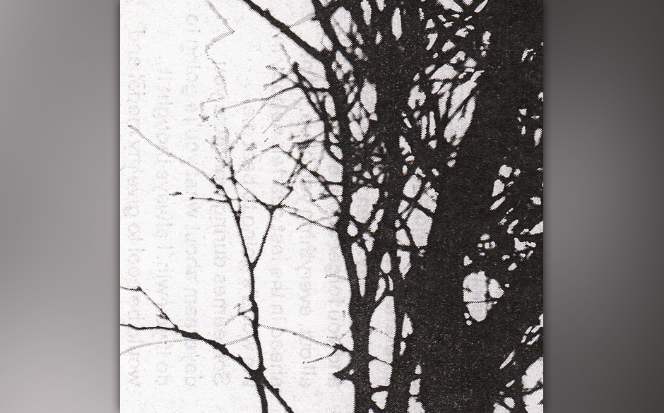 The Thermals - "Desperate Ground" (12.04.)