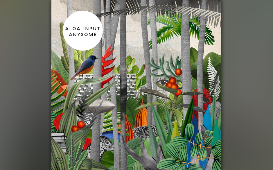 Aloa Input- „Anysome“, VÖ: 18. Oktober 2013