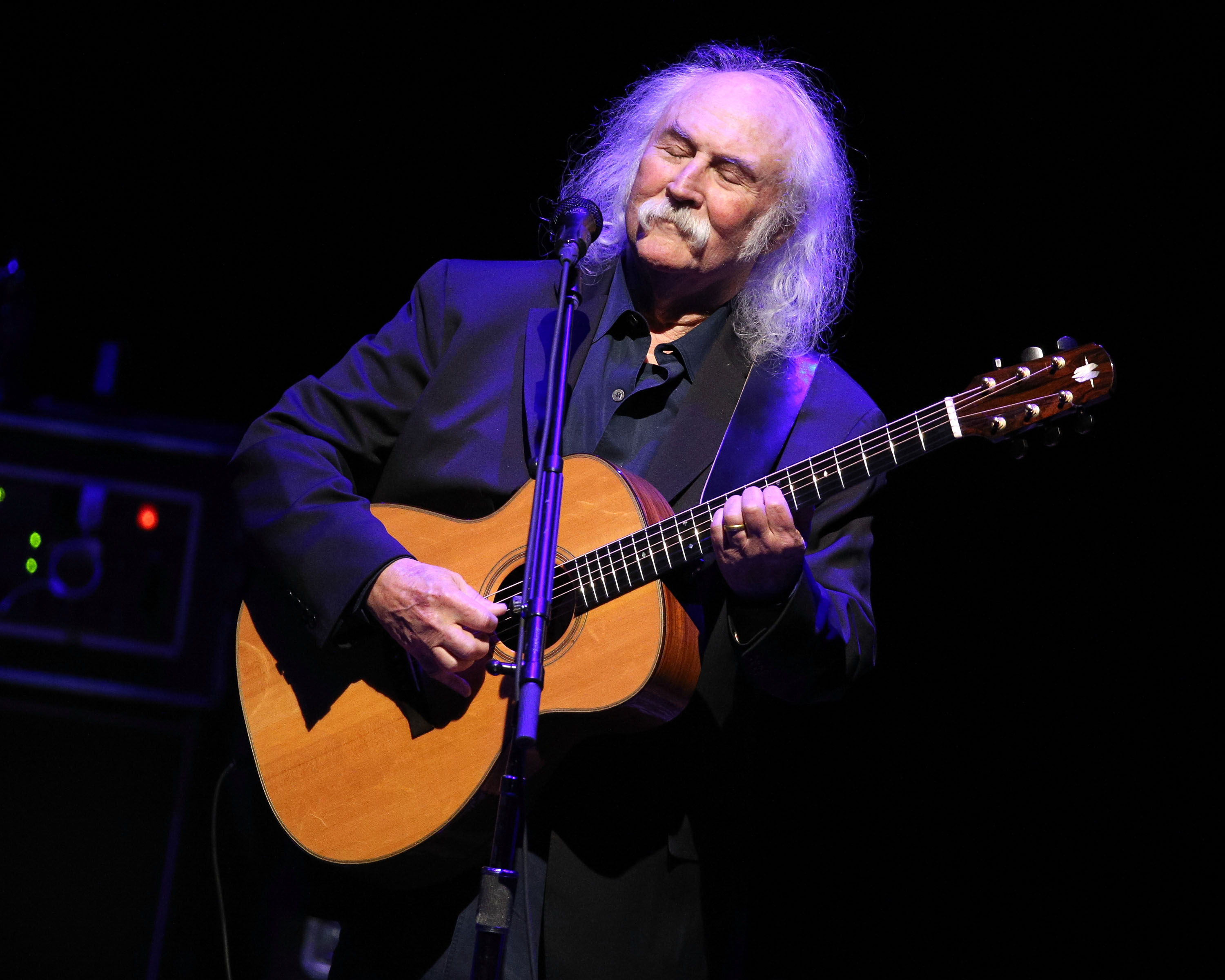 LOS ANGELES, CA - APRIL 05:  Musician David Crosby performs onstage at the 2nd Light Up The Blues Concert - An Evening Of ...