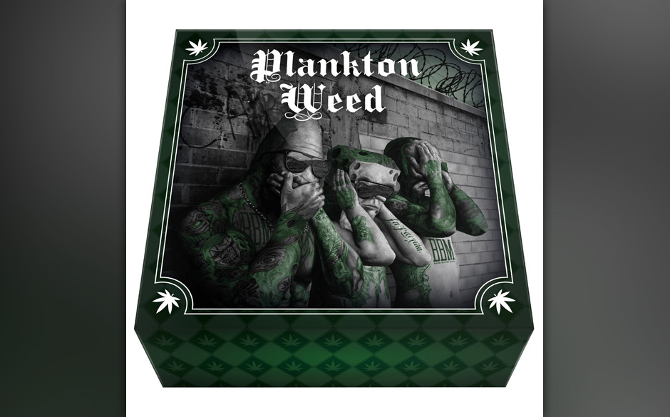 Auf der Eins thront SpongeBozz mit der Debütplatte "Planktonweed Tape"...